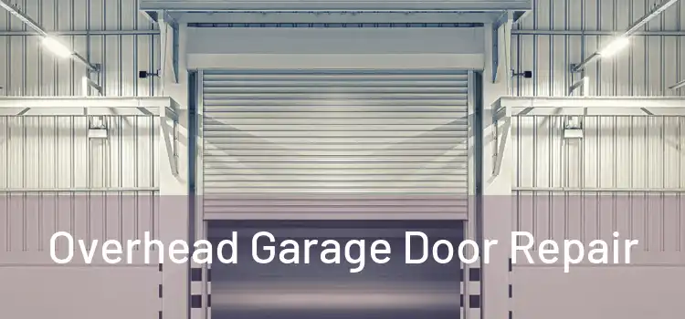  Overhead Garage Door Repair 
